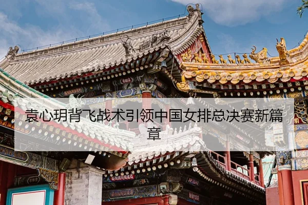 yuan-xin-yue-bei-fei-zhan-shu-yin-ling-zhong-guo-nv-pai-zong-jue-sai-xin-pian-zhang-3-657.jpg