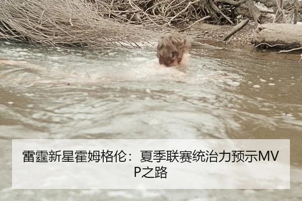 雷霆新星霍姆格伦：夏季联赛统治力预示MVP之路